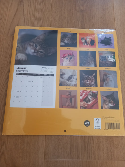 Cats Calendar 2026