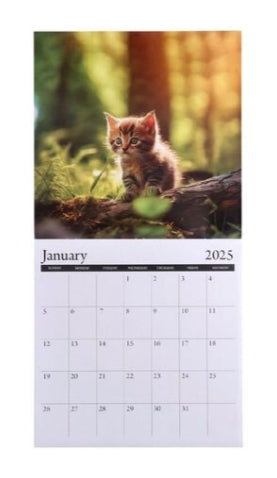 Kittens Calendar 2025