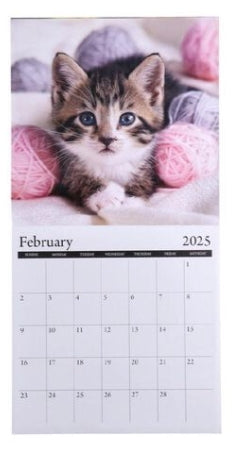 Kittens Calendar 2025