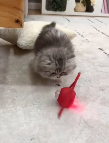 Smart Interactive Cat Toy Ball