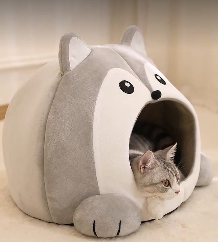 Comfortable Cat House
