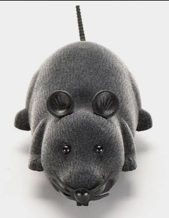 Wireless Remote Control Mouse