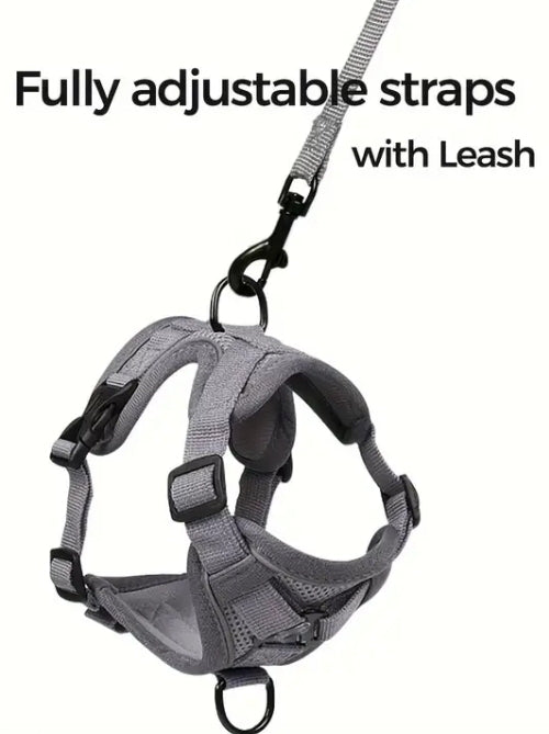 Escape Proof Cat Harness