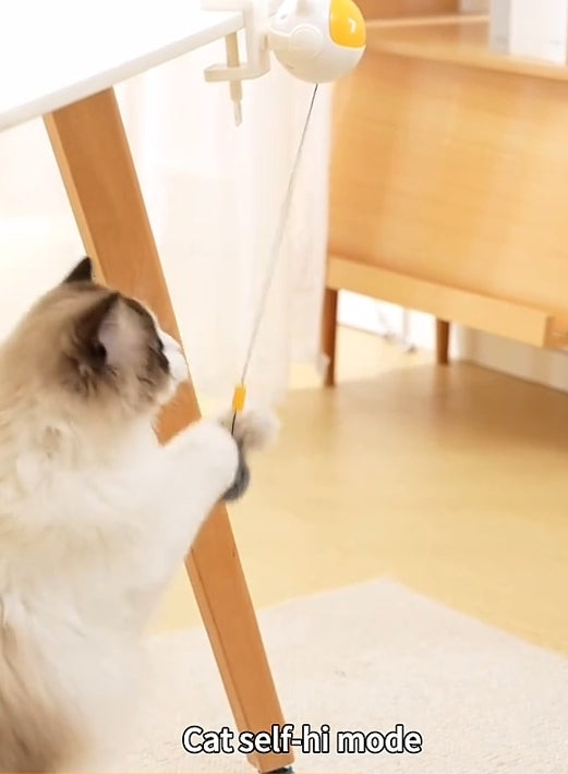 Automatic Lifting Cat Teaser Ball