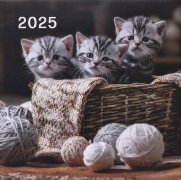 Kittens Calendar 2025