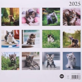 Kittens Calendar 2025