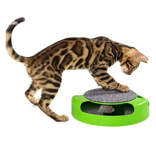 Catch the Mouse