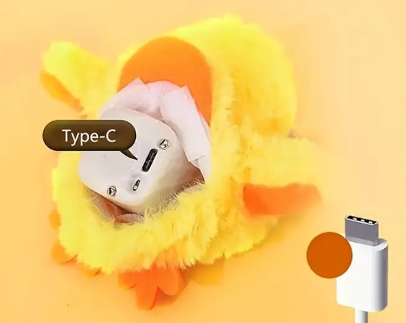 Flapping Wings Duck