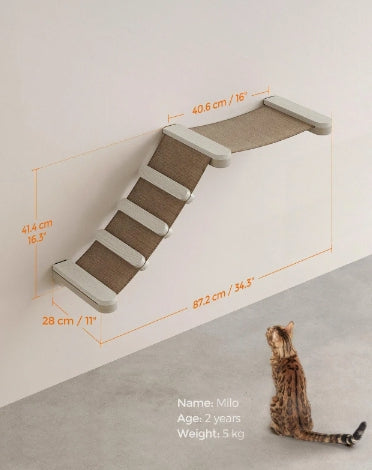 Wall Mounted Climbing Hammock
