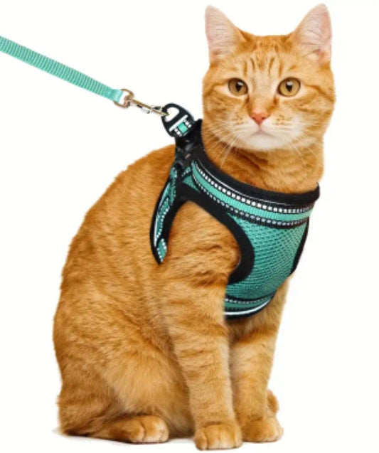 Adjustable Polyester Cat Harness