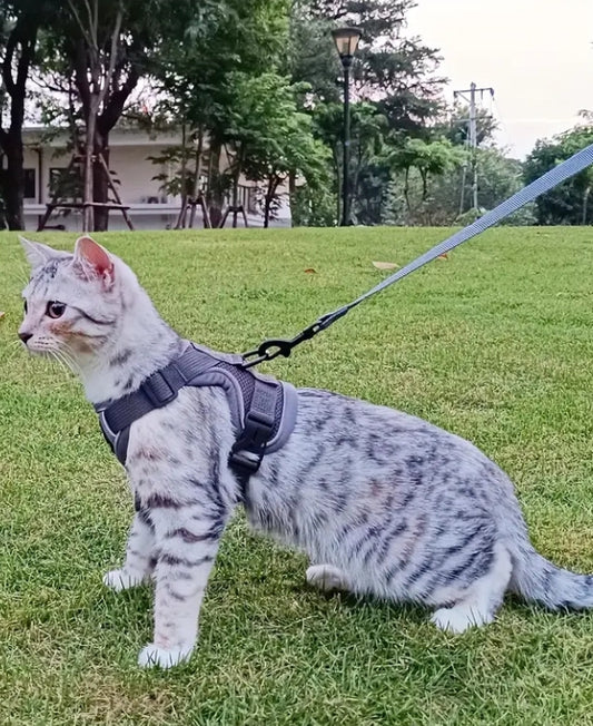 Escape Proof Cat Harness