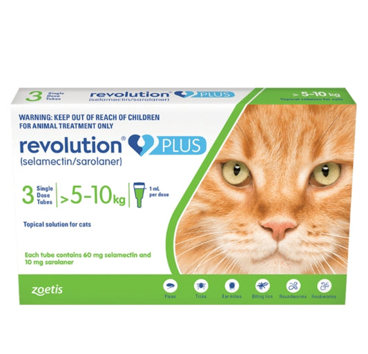 Revolution Plus 3 pack 5-10kg SPECIAL PRICE!