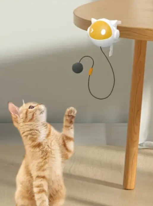 Automatic Lifting Cat Teaser Ball