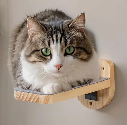 3 pcs Wooden Cat Wall Mounted Floating Steps Ladder