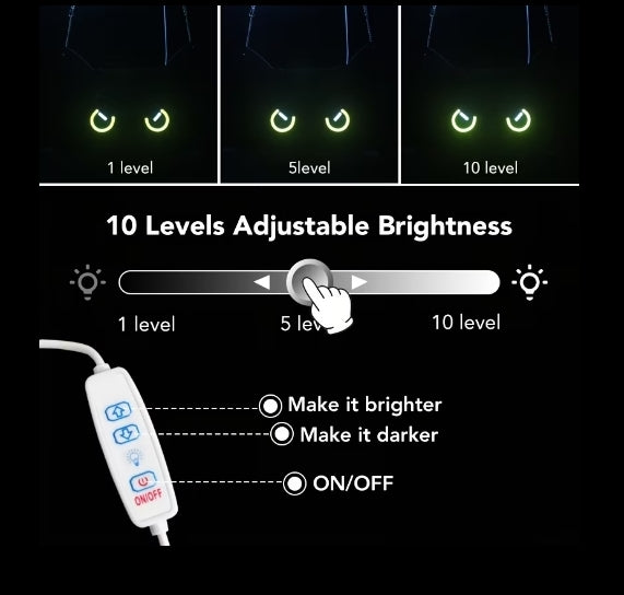 Cats Eye Neon Light