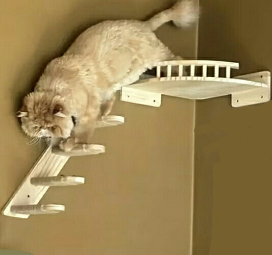 2pcs Corner Cat Hammock and Ladder